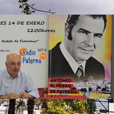 UN RATITO DE FLAMENCO "EL PERRO DE PATERNA " 25- PRIMERA PARTE UN RATITO DE FLAMENCO "EL PERRO DE PATERNA " 25- PRIMERA PARTE