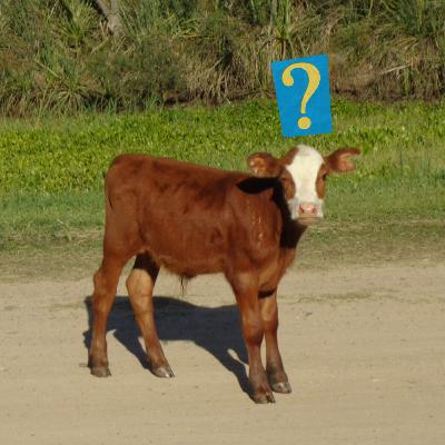 "me gusta pescar, te desconectas de todo" A ESTA HORA ESPECIAL PESCA
