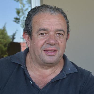 Un aliado de las Neumonias bovinas: "el Estres" Un aliado de las Neumonias bovinas: "el Estres"
