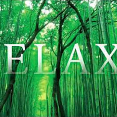 PROGR CYPT 21-2021 DCV