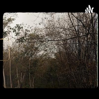 Membuat Nasi Goreng Di Rumah Hantu