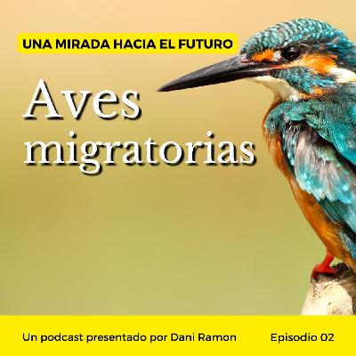 Episodio 02 | Aves migratorias Episodio 02 | Aves migratorias
