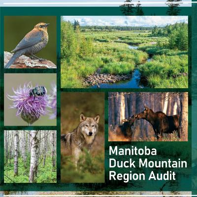 Eric Reider Interview - May 3 2023