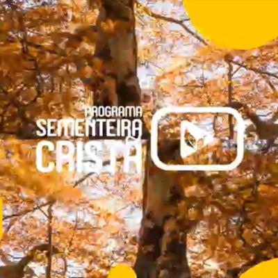 Sementeira Crista - O Codigo Penal da Vida Futura