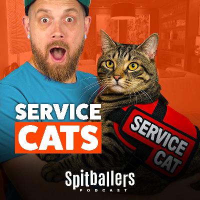 Service Cats & A Pool Party Battle - Comedy Podcast Service Cats & A Pool Party Battle - Comedy Podcast