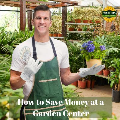 💰How to Save Money at a Garden Center