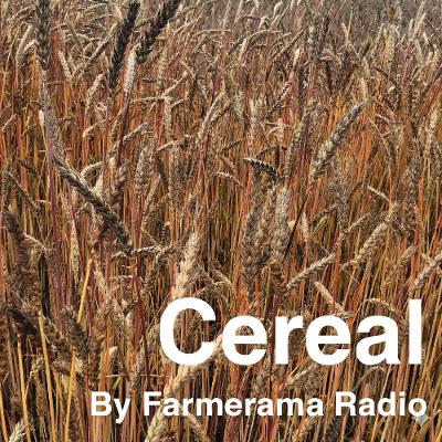 ‘Cereal’ Episode 5: The best thing since sliced bread? Unsliced bread (re-release)