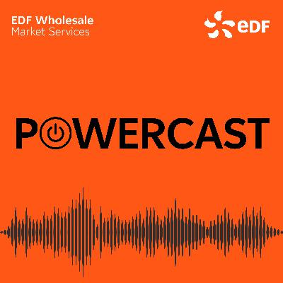 Market reactions to volatility - energy market insights from the EDF Wholesale Market Services team
