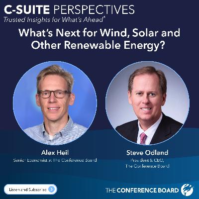 What’s Next for Wind, Solar and Other Renewable Energy?