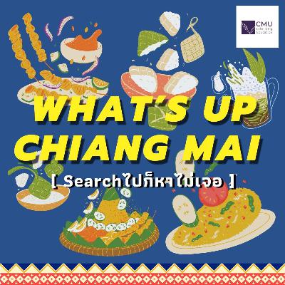 What’s up Chiangmai, Search ไปก็ไม่เจอ