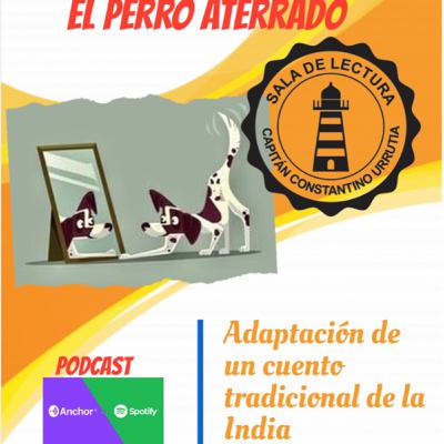 Kutta, el perro aterrado Kutta, el perro aterrado