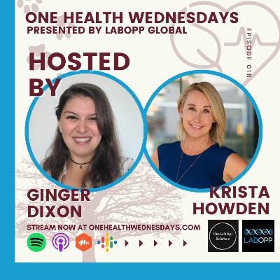 Episode 18: Creating your own salary using One Health. Special Guest: Krista Howden Episode 18: Creating your own salary using One Health. Special Guest: Krista Howden