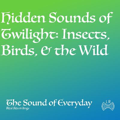 Hidden Sounds of Twilight: Insects, Birds, & the Wild (Audio only) - Relaxing Nature Sound