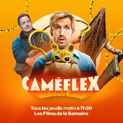 Les Films de la Semaine - Marsupilami ➰, Retour à Silent Hill 🕯️, Rental Family ⛩️, The Mastermind 🖼️ & N121 🚌