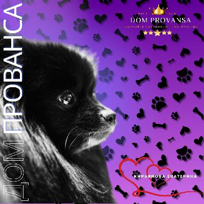 Дом прованса "Dom Provansa" - ДИЗАЙН ДУШИ: СЧЁТ ЗА ВЕРНОСТЬ. СКОЛЬКО СТОИТ ТВОЙ ДРУГ? #23