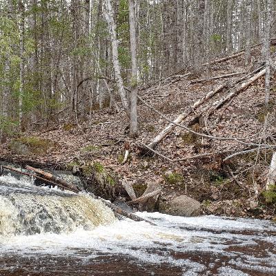 چی میشه که میریزیم بهم؟ برای بهتر متوجه شدن مطالب لطفا تا آخر گوش کنید 🙏🏻