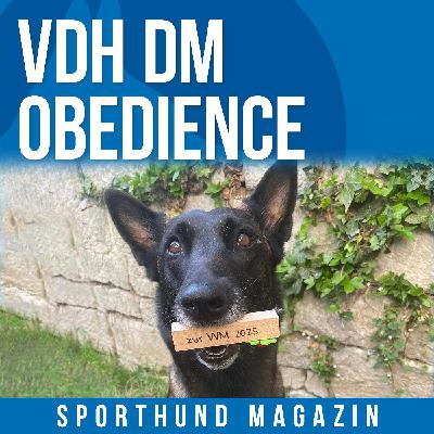 #32 VDH DM Obedience