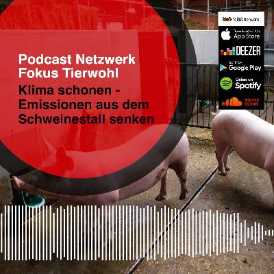Klima schonen - Emissionen aus dem Schweinestall senken