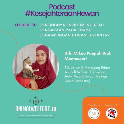 Eps 81 - Pentingnya Enrichment atau Pengayaan Pada Tempat Penampungan Hewan Terlantar