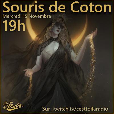 INTERVIEW : Souris de Coton pour Mirror Arcana