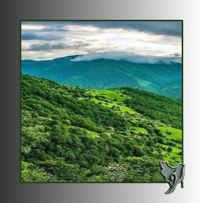 شاهرگ سبز ایران
