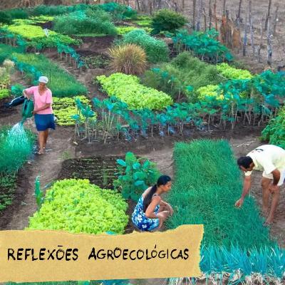 EP 19 - Reflexões Agroecológicas