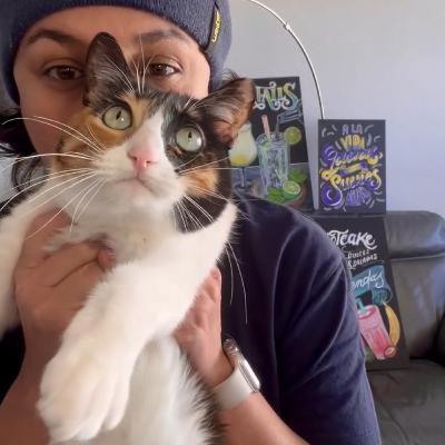 La loca de los gatos