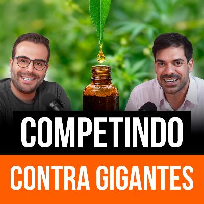 Como Inovar em um Mercado Regulado Sem Travar o Crescimento