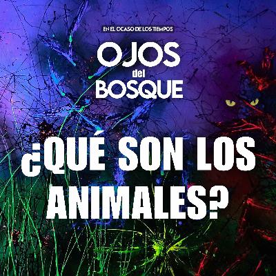 ¿Qué son los animales?