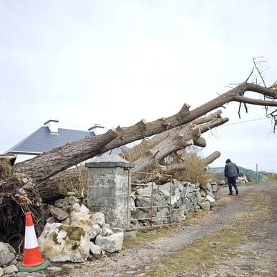 Storm Eowyn Report looking at lessons to draw on for future