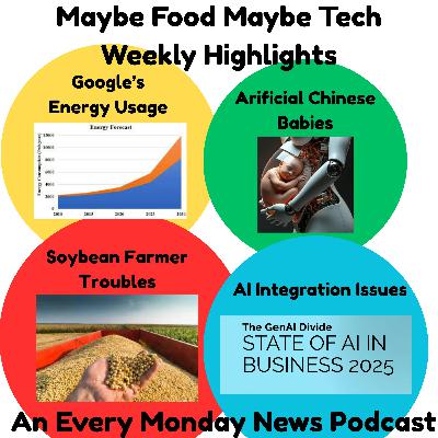 Google's Energy Usage, Chinese Artificial Wombs, AI Adoption Problems, Soybean Farmers