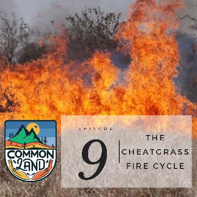 Birds of Prey Episode 9: The Cheatgrass Fire Cycle