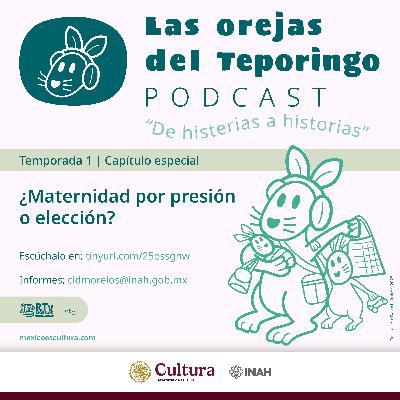 ¿Maternidad por presión o elección? ¿Maternidad por presión o elección?
