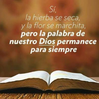 ❗❗FORTALECIDOS EN EL SEÑOR❗❗