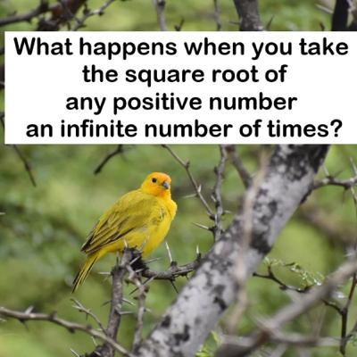 Infinite Square Root Fun