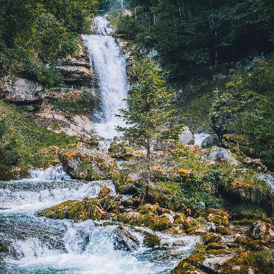 Glistening Waters (3 Hours of Binaural Brook Sounds for Sleep & Relaxation)