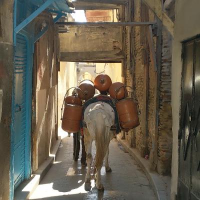 North Africa Tour: “looking for Sufi “