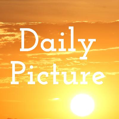 Innocent or sinister? Innocent or sinister?