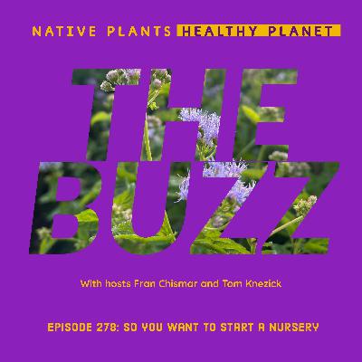 The Buzz - So You Want To Start A Nursery