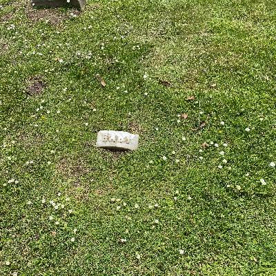 Ep. 27 Hark the Herald Angels Sing