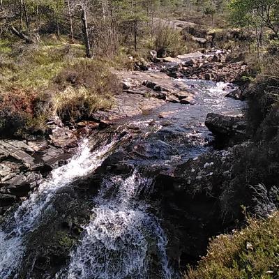 Soundscape: Cuckoo on the Isle of Rum 13.05.24