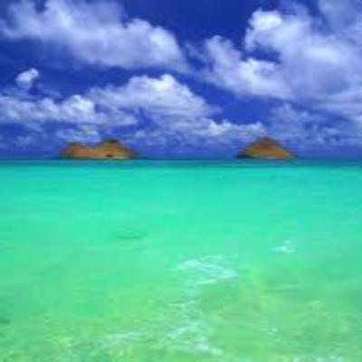 Toolbox to Wellness - An Introduction Toolbox to Wellness - An Introduction