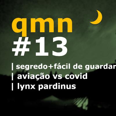 #13 | o segredo mais fácil de guardar | aviação vs covid | lynx pardinus #13 | o segredo mais fácil de guardar | aviação vs covid | lynx pardinus