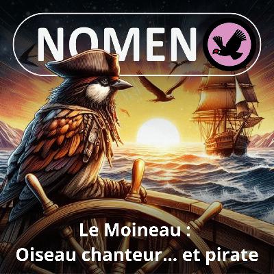 S05E14 Le Moineau : Le moine-pirate des squares S05E14 Le Moineau : Le moine-pirate des squares