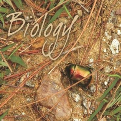 CH-17 BREATHING AND EXCHANGE OF GASES