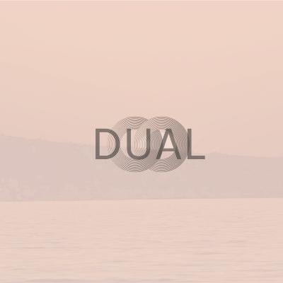E1 ¿Qué es DUAL?