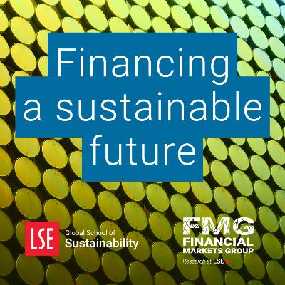 Credit Substitution in Sustainable Finance: An Achilles Heel? Credit Substitution in Sustainable Finance: An Achilles Heel?
