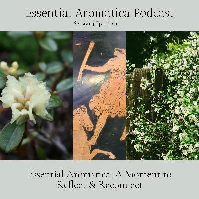 Essential Aromatica: A Moment to Reflect & Reconnect