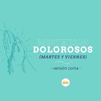 Misterios Dolorosos - Santo Rosario - martes y viernes - versión corta