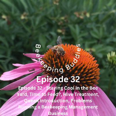 Episode 32 - Staying Cool in the Bee Yard, Time to Feed?, Hive Treatment, Queen Introduction, Problems Running a Beekeeping Management Business